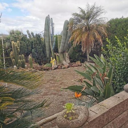 Los Cactus Santa Cruz de Tenerife Exteriér fotografie