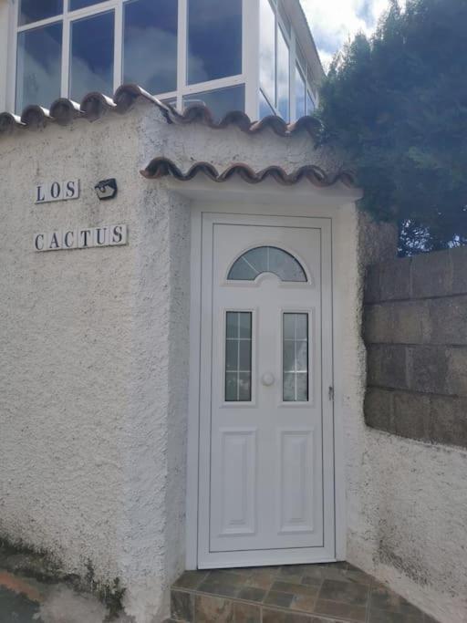Los Cactus Santa Cruz de Tenerife Exteriér fotografie