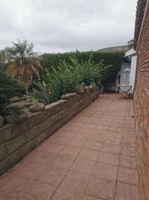 Los Cactus Santa Cruz de Tenerife Exteriér fotografie