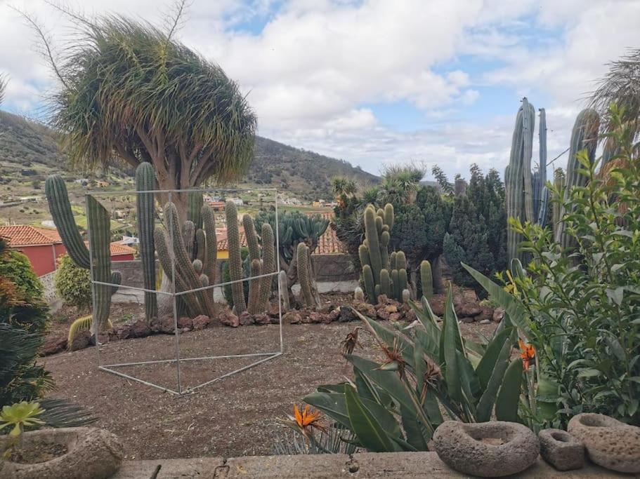 Los Cactus Santa Cruz de Tenerife Exteriér fotografie